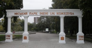 Конкуренція без конкурентів: парку ім. Кожедуба відремонтують за 24,5 млн. грн.