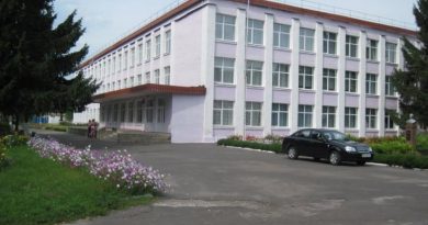 Школу в Коровинцях за 8 млн. грн. відремонтує фірма без будівельної техніки